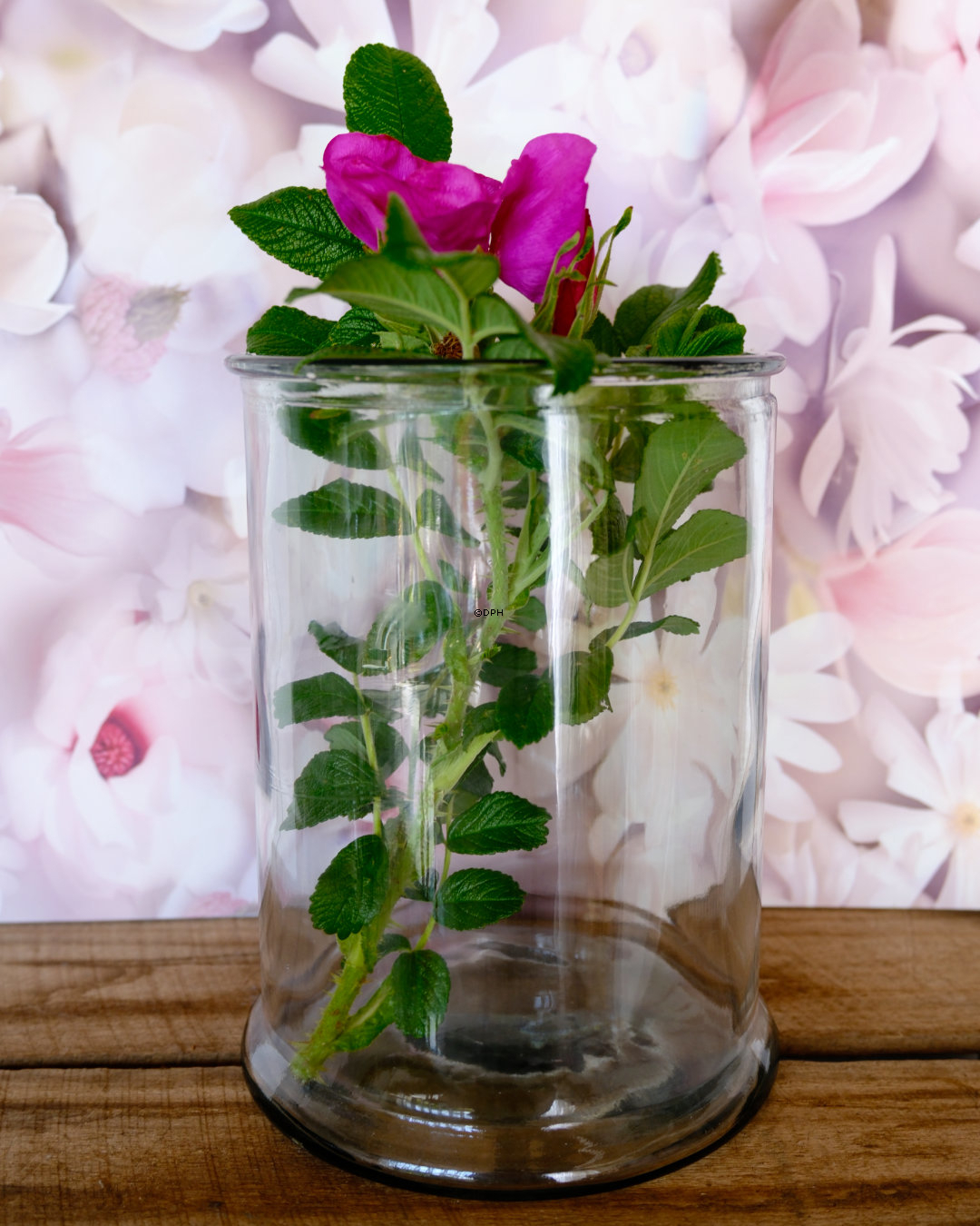 Cylindervase Mille H24cm klar