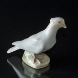 Hvid Due, Royal Copenhagen fugle figur nr. 1008, Meget sjælden (1894-1922)