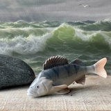 Aborre, Royal Copenhagen figur af fisk nr. 1138