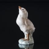 Turkey Chicken, Royal Copenhagen bird figurine No. 1185