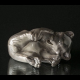 Brown bear playing with its foot, Royal Copenhagen figurine no. 1233-729