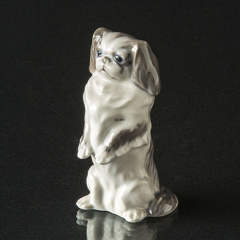 Pekingeser, sort/grå og hvid Royal Copenhagen figur af hund nr. 1452-1776 (1894-1922)
