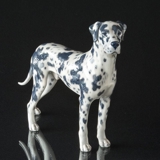 Great Dane with spots, Royal Copenhagen dog figurine No.1452-3650