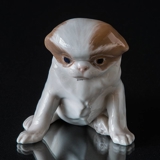 Pekingese Hund, der sich hinsetzt, Royal Copenhagen Hundefigur Nr. 1453