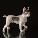 Bulldog standing at attention, Royal Copenhagen figurine No. 1457