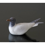 Seagull lying as if in the water, Royal Copenhagen bird figurine no. 104 or 1468