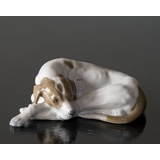 Pointer lying down looking up longingly, Royal Copenhagen dog figurine no. 1634