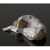 Pointer lying down looking up longingly, Royal Copenhagen dog figurine no. 1634