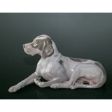 Royal Copenhagen Pointer liggende med hoved op, figur nr. 1635