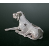 Royal Copenhagen Pointer liggende med hoved op, figur nr. 1635