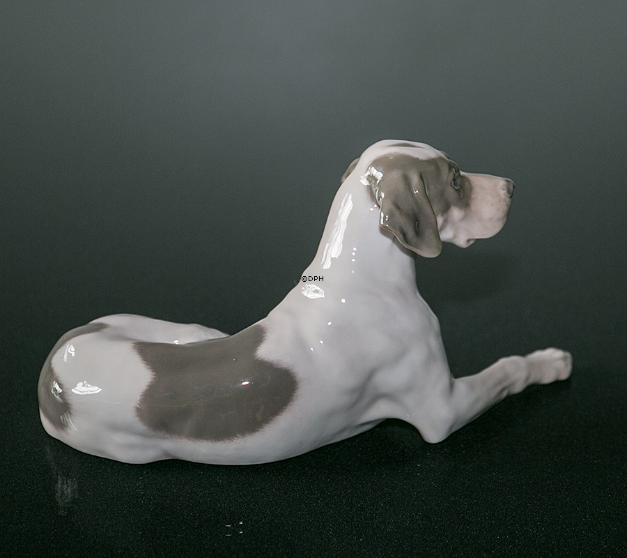 Royal Copenhagen Pointer liggende med hoved op, figur nr. 1635