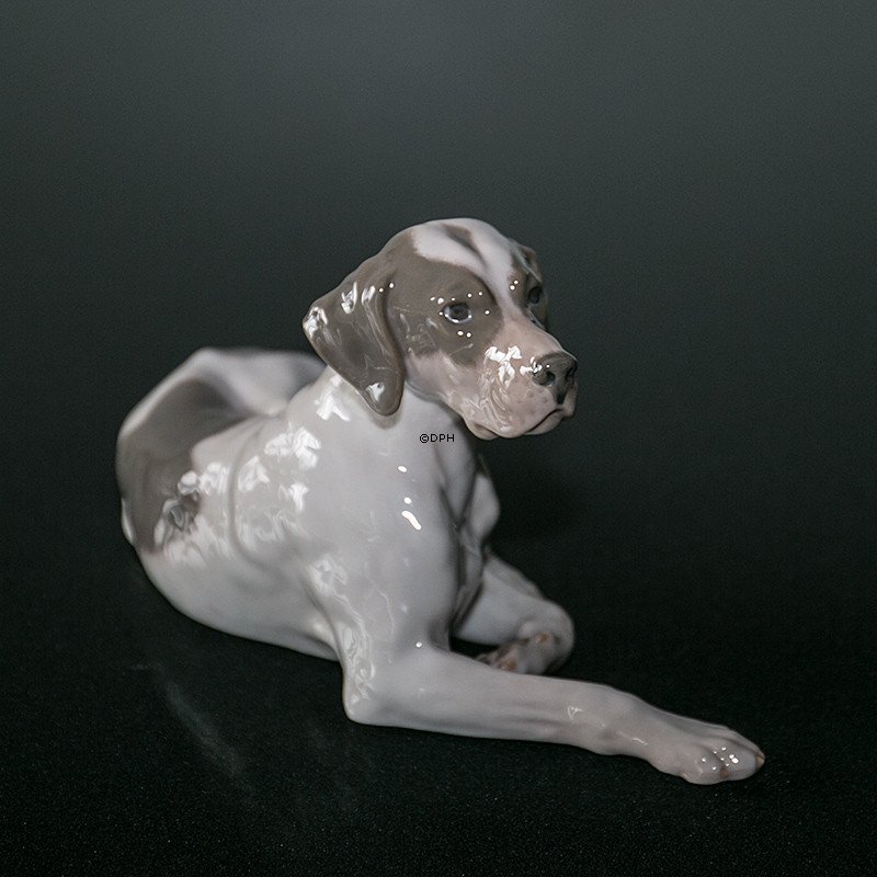 Royal Copenhagen Pointer liggende med hoved op, figur nr. 1635