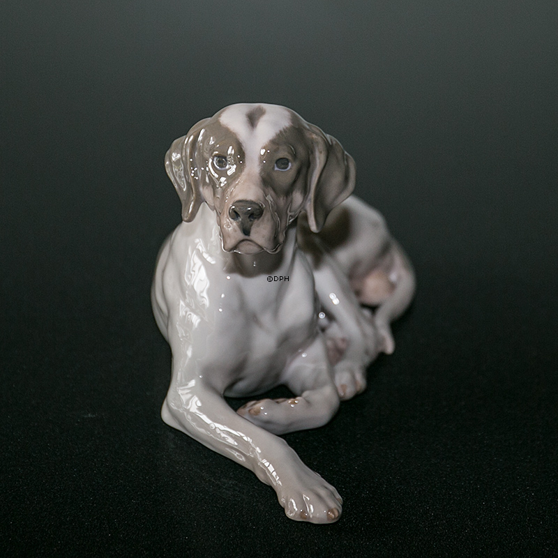 Royal Copenhagen Pointer liggende med hoved op, figur nr. 1635