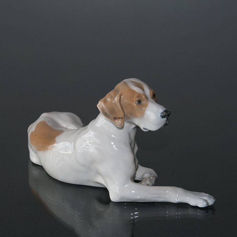 Royal Copenhagen Pointer liggende med hoved op, figur nr. 1635