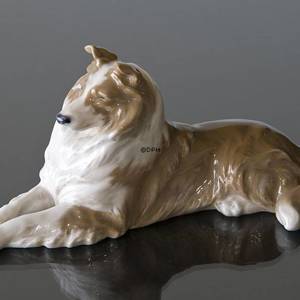 Collie, Royal Copenhagen hunde figur | Nr. R1701 | DPH Trading