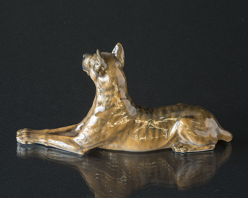 Grand Danois, Royal Copenhagen hunde figur nr. 1679