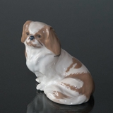 Pekingese Hund, der sich hinsetzt, Royal Copenhagen Hund Figur Nr. 1772