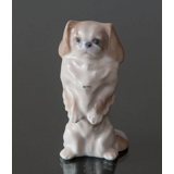 Pekingese Hund stehend, Royal Copenhagen Hund Figur Nr. 1776