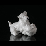 Playing Sealyham dogs Royal Copenhagen dog figurine No. 20231
