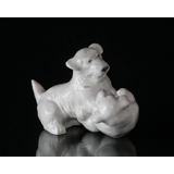 Playing Sealyham dogs Royal Copenhagen dog figurine No. 20231