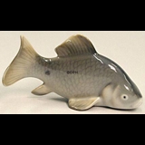 Karpfen, Royal Copenhagen Fisch Figur Nr. 2414