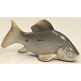Crusian Carp, Royal Copenhagen fish figurine no. 2414