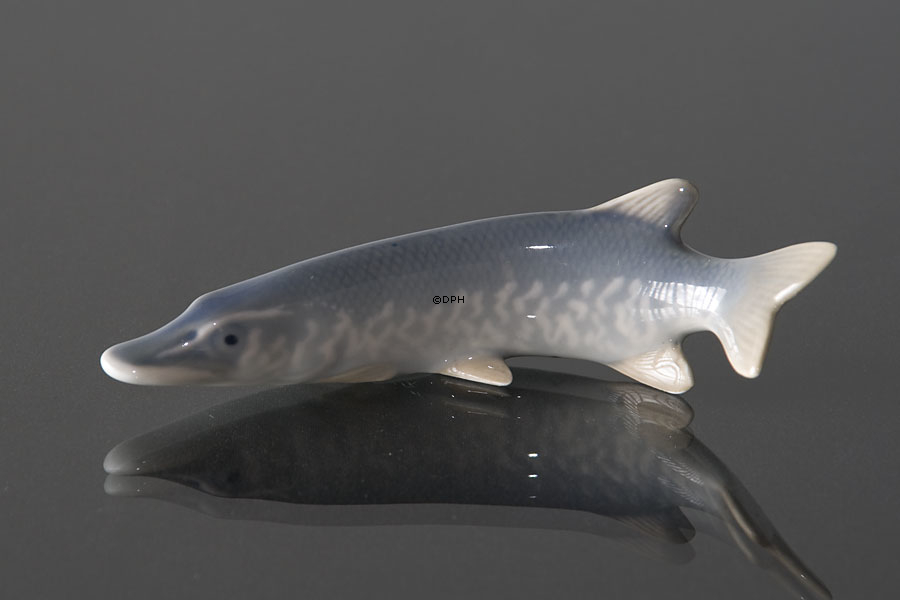 Gedde, Royal Copenhagen figur af fisk nr. 2427