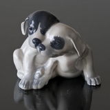 Glatthaariger Terrier, Royal Copenhagen Hundefigur, nr. 260