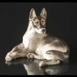 Schæferhund, ligger ned, Stor Royal Copenhagen hundefigur nr. 2803 (1922-1930)