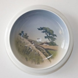 Bowl with Scenery of Old Cottages in Hills, Royal Copenhagen No. 2903-2559