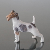 Wire-haired terrier standing at attention, Royal Copenhagen dog figurine No. 2967