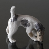 Wirehaired terrier sniffing the ground, Royal Copenhagen dog figurine No. 3020