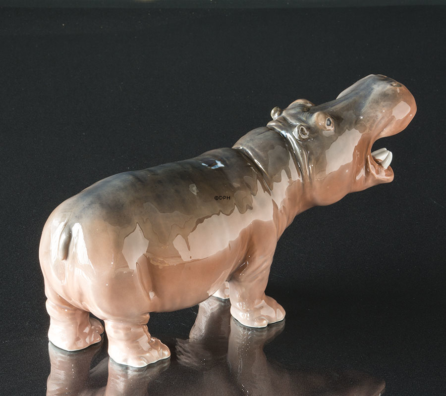 Flodhest, Royal Copenhagen porcelænsfigur nr. 309, Meget sjælden (1984-1922) - Farvefejl på ryggen