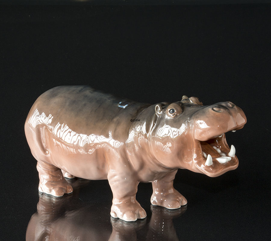 Flodhest, Royal Copenhagen porcelænsfigur nr. 309, Meget sjælden (1984-1922) - Farvefejl på ryggen