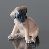 Boxer Puppy sitting, Royal Copenhagen dog figurine No. 3169