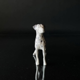 Dalmatian, Royal Copenhagen dog figurine No. 3501 (NOTE. with errors, tail glued on)