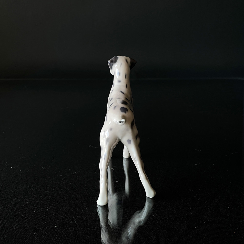 Dalmatiner, Royal Copenhagen hundefigur nr. 3501 (OBS. med fejl, hale limet på)