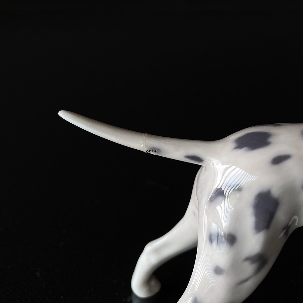 Dalmatiner, Royal Copenhagen hundefigur nr. 3501 (OBS. med fejl, hale limet på)