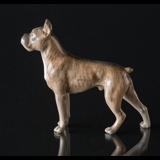 Boxer stehtend, Royal Copenhagen Hund Figur Nr. 3634
