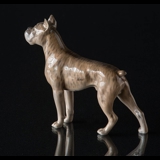 Boxer standing at attention, Royal Copenhagen dog figurine no. 3634