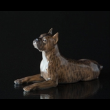 Boxer liegt und schaut nach oben, Royal Copenhagen Hundefigur Nr. 3635