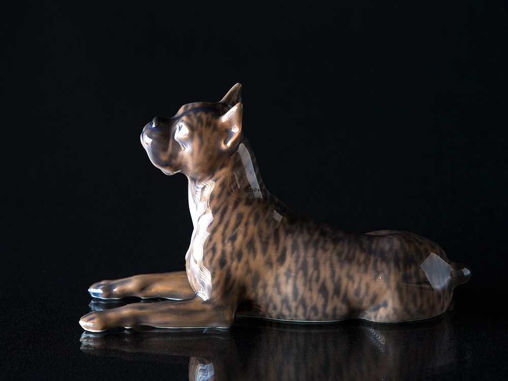 Bokser, Royal Copenhagen hunde figur nr. 3635