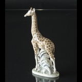 Giraffe, Royal Copenhagen Figur Nr. 3655