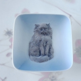 Skål med angora kat, Royal Copenhagen nr. 4385