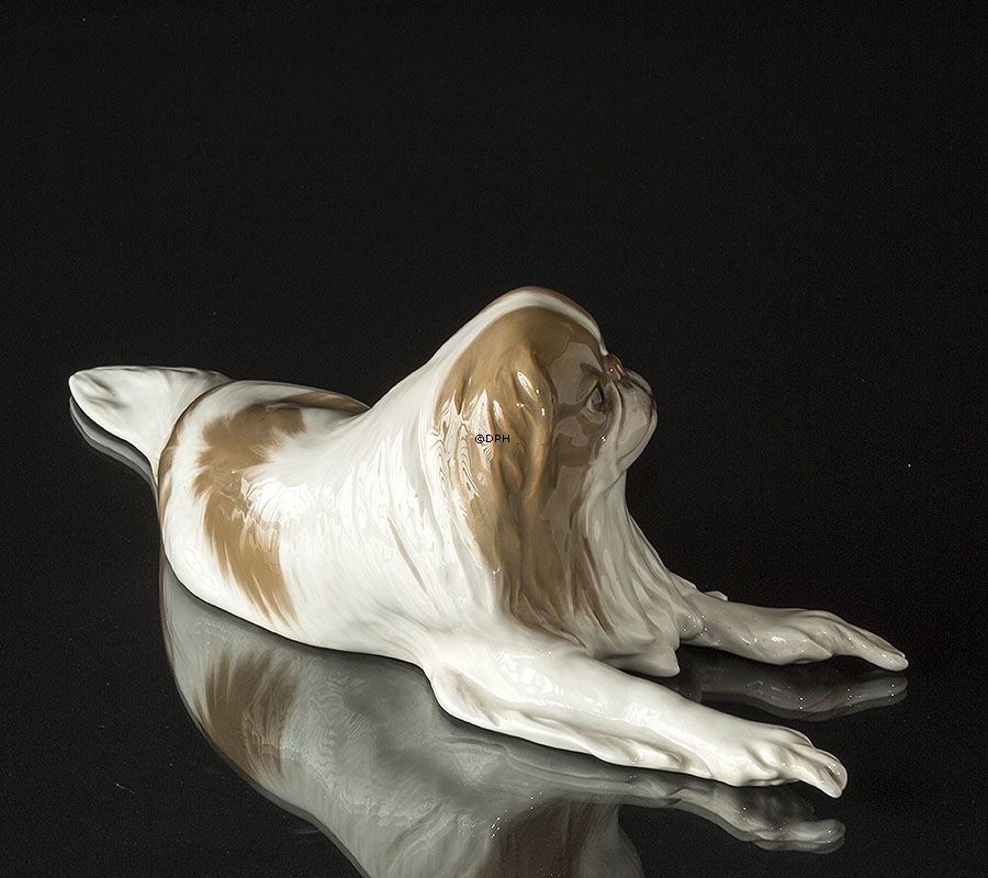 Pekingeser, liggende, STOR  Royal Copenhagen hundefigur nr. 1453-422 (1894-1922) - Har nogle brune spots