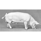 Feeding boar, Royal Copenhagen figurine no. 4561