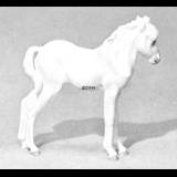 Fohlen stehend, Royal Copenhagen Pferd Figur Nr. 4653