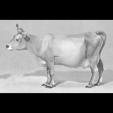Jersey Kuh, stehend, Royal Copenhagen Figur Nr. 4678