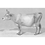 Jersey Kuh, stehend, Royal Copenhagen Figur Nr. 4678