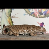 Crawling Leopard, large, Royal Copenhagen figure no. 472, Very rare
